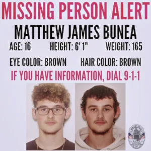 Falls police search for boy, 16, who fled from crash